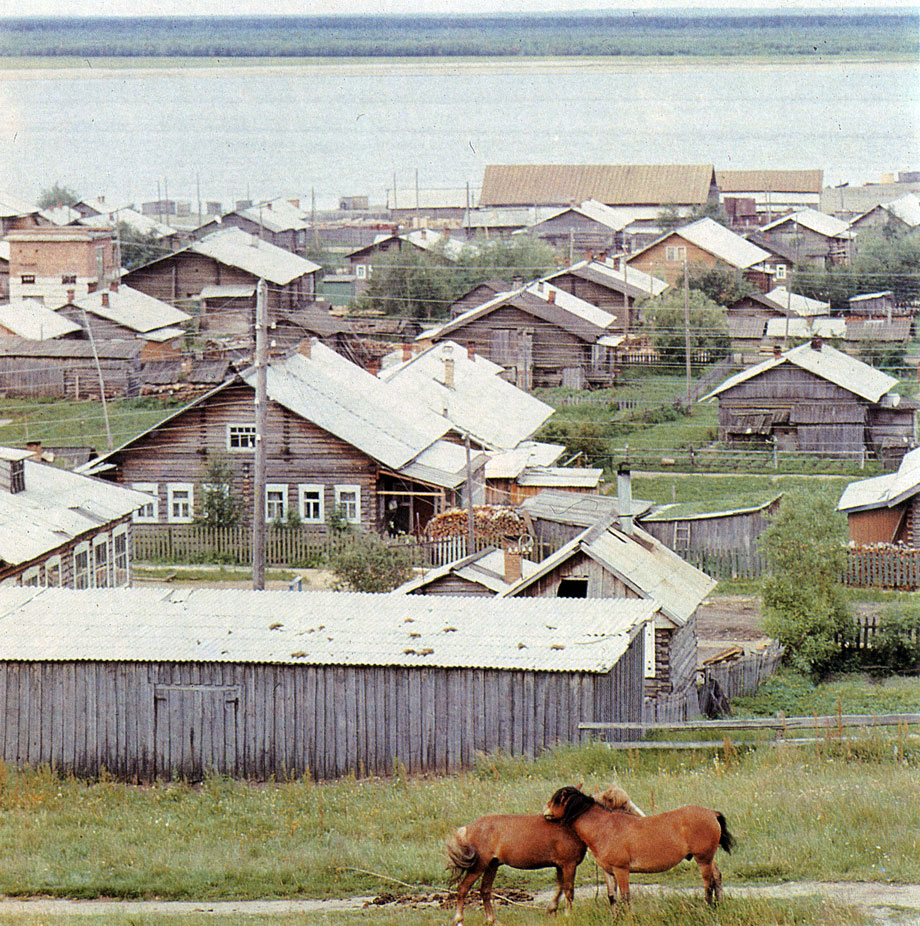 Много лет тому назад люди привели с собой лошадей на Печору. Усть-Цильма