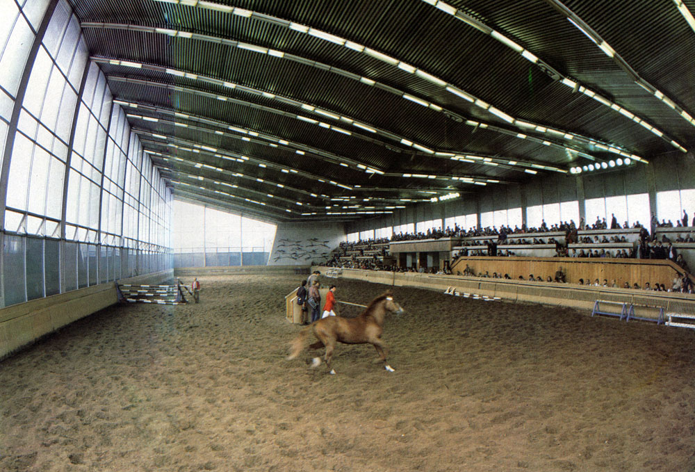 На международном аукционе в 1-м Московском конном заводе покупателям показывают лошадь в свободном движении, преодолении препятствий, под седлом