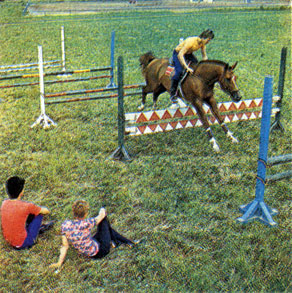 «Школа» молодой лошади. Спортсмену приходится много потрудиться, а иногда и в прямом смысле побегать, чтобы на соревнованиях показать хорошие результаты