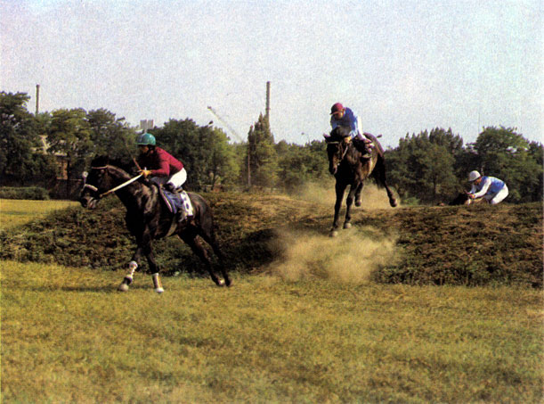 Стипль-чез - спорт для мужественных людей и выносливых, хорошо тренированных лошадей. Ростовский ипподром