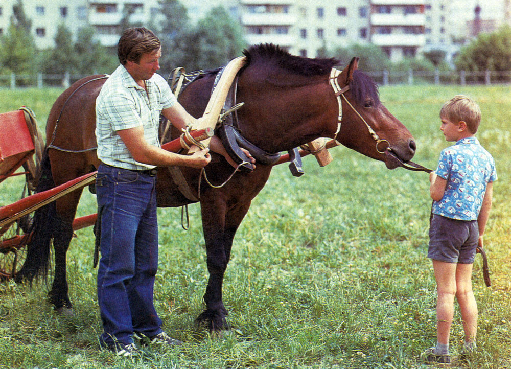 Любовь к лошади воспитывают с детства