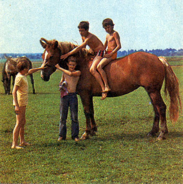 Любовь к лошади воспитывают с детства