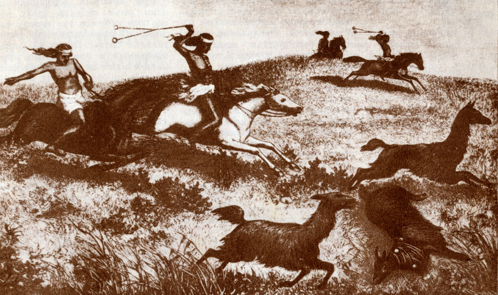 Настоящие индейцы лассо чаще всего предпочитали боло - деревянные шары на ремнях, которые бросают бегущему зверю под ноги. Упавшее животное сразу оказывается не только пойманным, но и связанным.