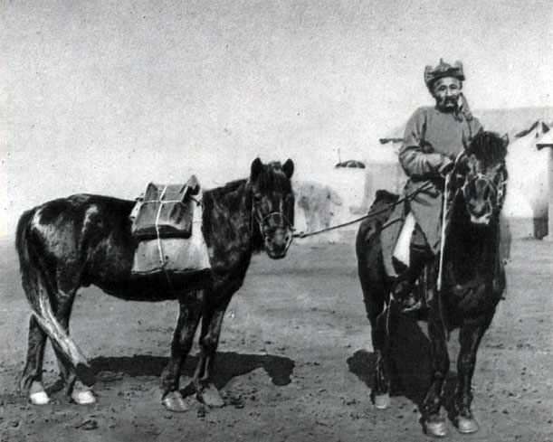 Монгольские лошади