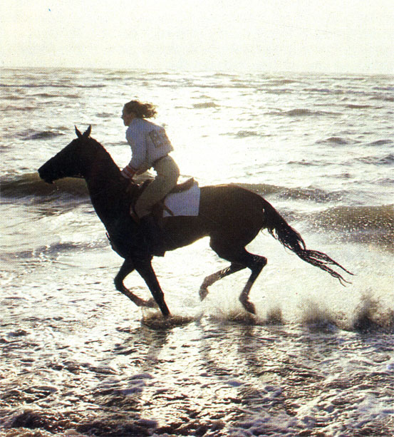 Лошадь вместе с человеком радуется солнцу, воздуху и воде