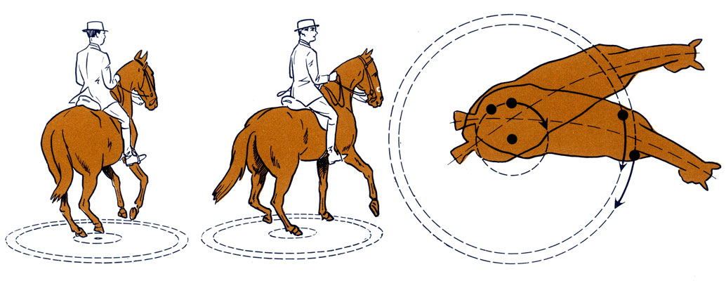Одна из важнейших фигур в программе Большого приза - пируэт на галопе, совершаемый в пять-шесть темпов галопа. Внутренняя задняя нога лошади является как бы центром поворота - круга, радиус которого равен длине лошади. Пируэт исполняется при максимальном сборе с сохранением импульса движения и требует от всадника умения правильно сочетать работу всех средств управления и воздействия на лошадь. Особенно серьезно наказывают судьи всадников за нарушение трехтактности галопа, скованную мускулатуру лошади (это заметно по шее животного), явное сопротивление в затылке, качание головой, осаживание на пируэте