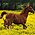 Эволюция лошади